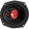 Bass Habit P690 - Bild 2